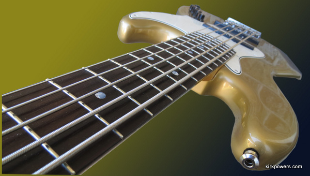 ALLEVA LG5custom2016 (3)1