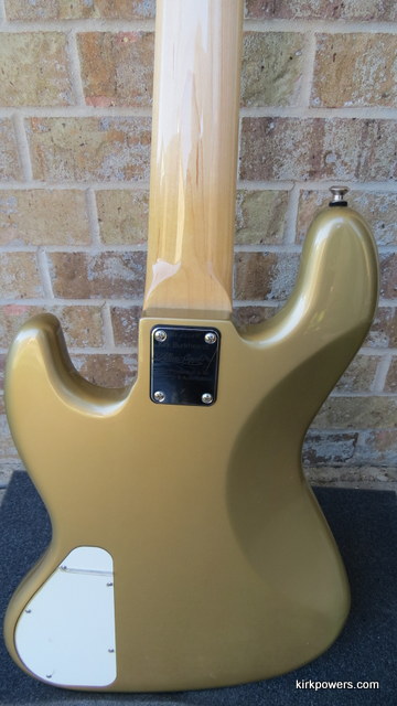 ALLEVA LG5custom2016 (7)